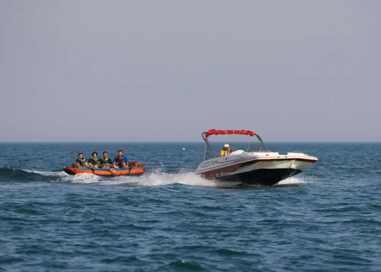 News: The Sea Trawls Adventure